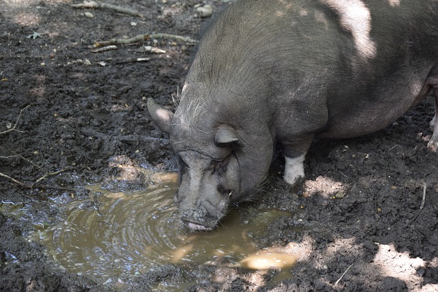 信力都是一 信力都是一