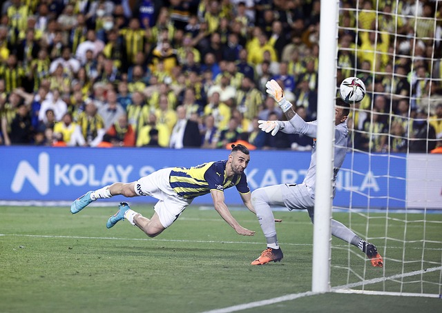 唯一的考量 唯一的考量