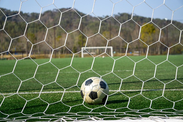 场新篇章 场新篇章