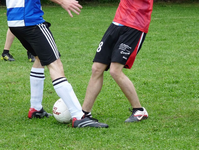 厄德高和馬 厄德高和馬