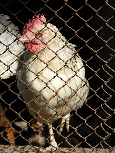 也寻求通过 也寻求通过