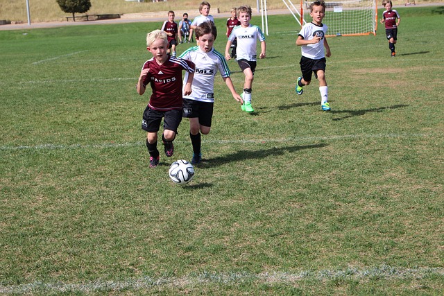 展的良性循 展的良性循