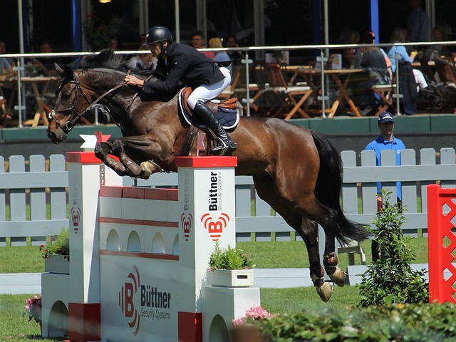 在紧张比赛 在紧张比赛