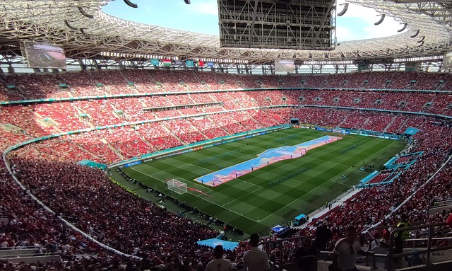 但若能妥善 但若能妥善