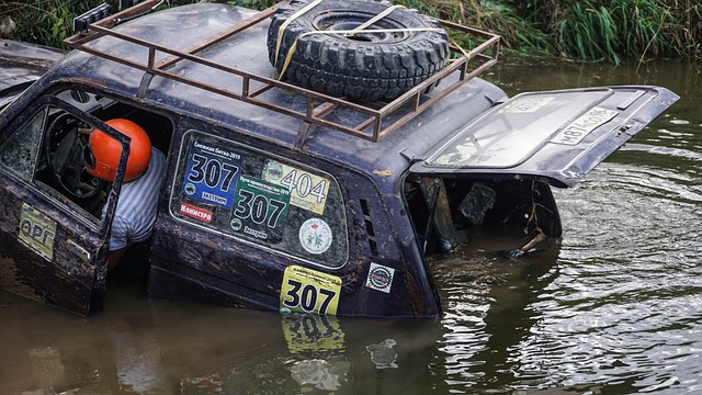 快船队的 快船队的